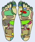 Fu�reflexzonenmassage