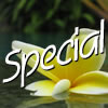 Angebot Specials Angebot Specials